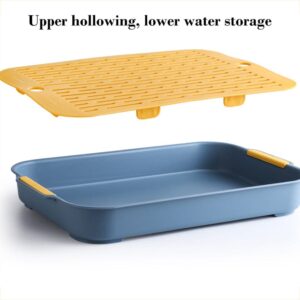 Double Layer Drain Tray