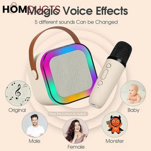 Single Mic Speaker - Image 3