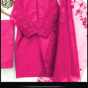 Mina Collection By A&T 3 Piece Embroidered Organza Collection
